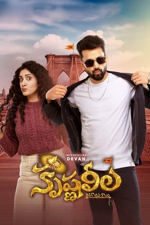 Krishna Leela (2025) Hindi (MULTI AUDIO) – – 1080p